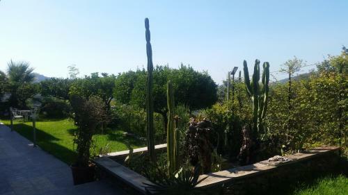 Apartamento Villa Antheus