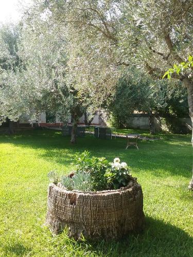 Agroturismo La Casa Dell'antiquario