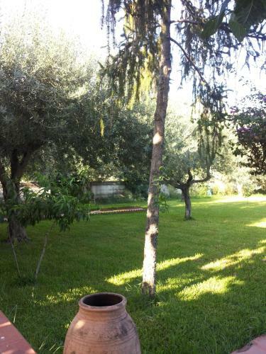 Agroturismo La Casa Dell'antiquario