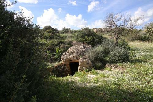 Regia Trazzera