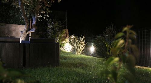 The Garden