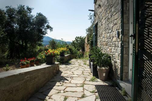 The Garden