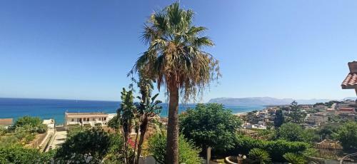 Casa Calendule