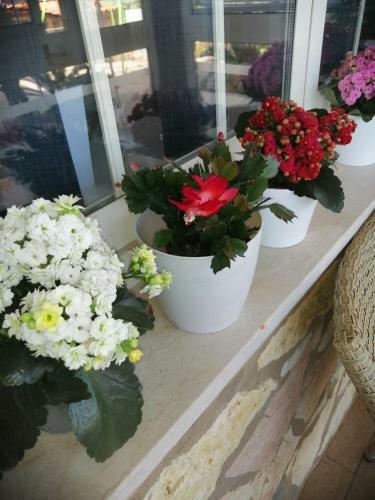 Bed & Breakfast Accuss�