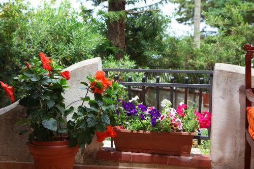 Villa Giardino 3 Camere 4 Bagni 2 Passi Dal Mare