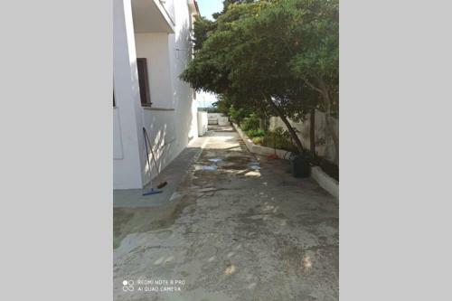 Apartamento La Rosa Dei Venti