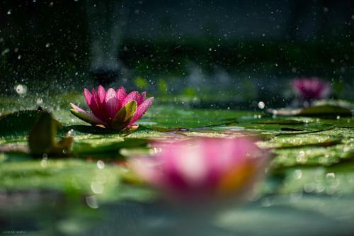 Bed & Breakfast Ca D'valur