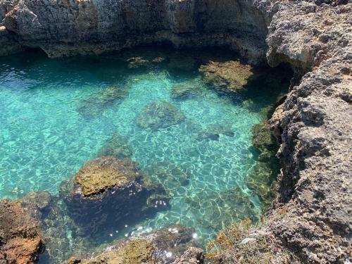 Hostal Dimora Terra Di Puglia