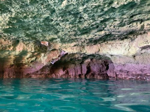 Hostal Dimora Terra Di Puglia
