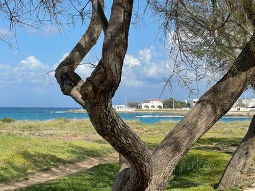 Hostal Dimora Terra Di Puglia