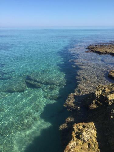 Hostal Dimora Terra Di Puglia