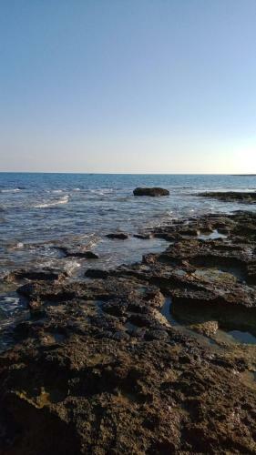 Hostal Dimora Terra Di Puglia