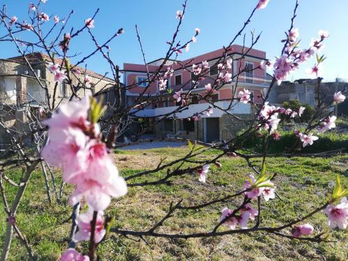 Agroturismo Il Borgo Di Nonno Carlo
