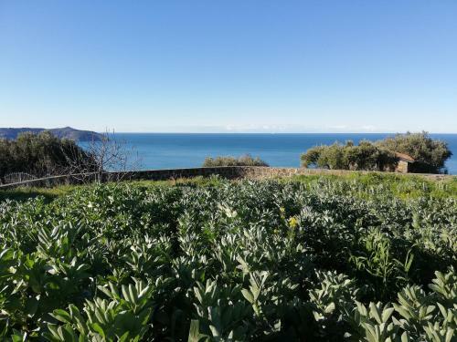 Agroturismo Il Borgo Di Nonno Carlo