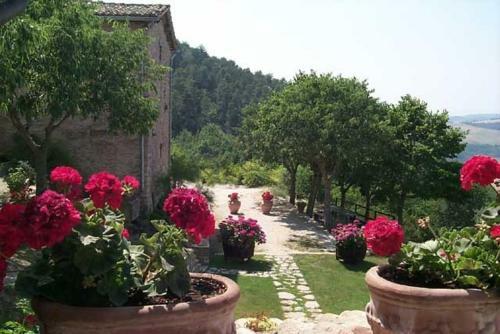 Apartamento L'oasi