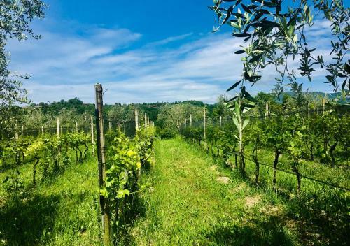 Apartamento La Torretta Del Residence Degli Ulivi