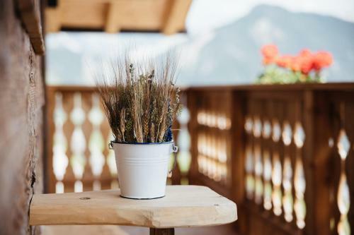 Chalet Rich