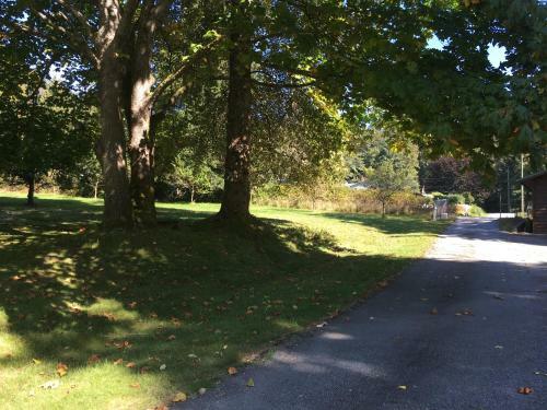 Villa Oceanfront Suite