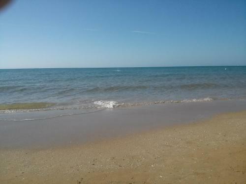 White And Blue Holidays