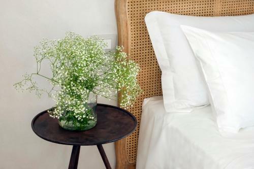 Bed & Breakfast Terranura