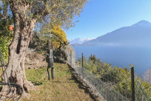 Ulivolimone Apartment