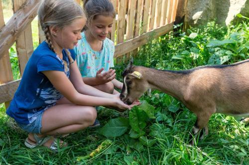Agroturismo Enzianhof - Nature Apartments