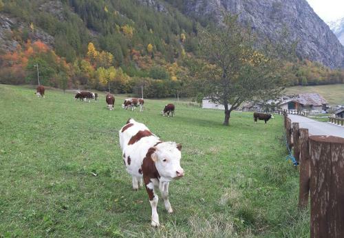 Apartamento Maisonnette De Montagne