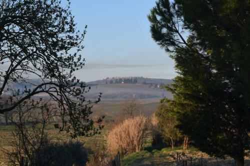 Il Saragio