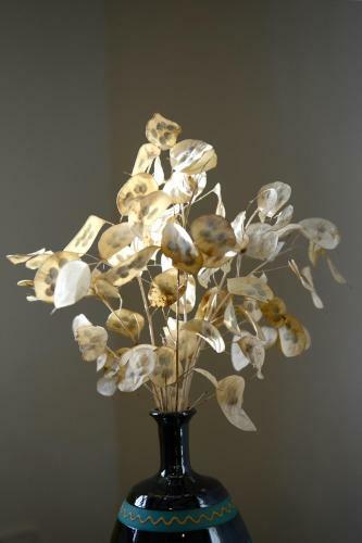 Apartamentos Bellavista