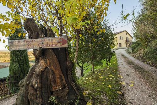 Il Poggio Dei Tre Contadini