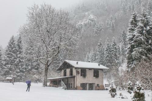 Chalet Silenthia