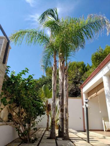 Apartamento Vacanze Porto Cesareo Salento