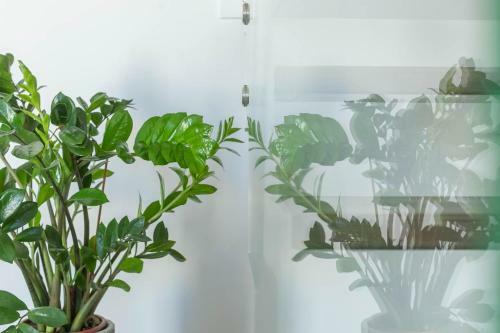 Hostal Horizon Rooms