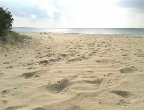 Apartamento Appartamento A 20 Metri Dalla Spiaggia