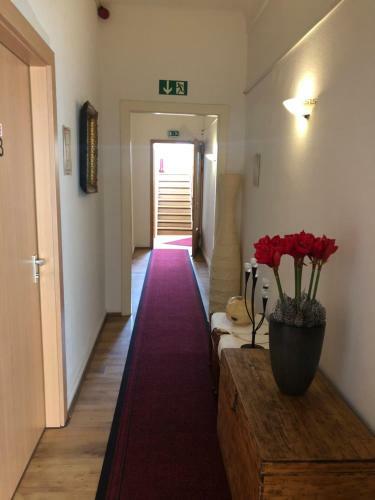 Hostal Rheinischer Hof