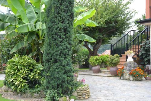 Hostal Hospedaje Ore�a