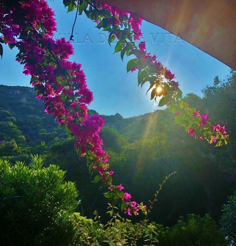 Villa Dolce Vita