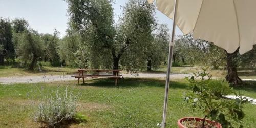 Agroturismo Agriturismo Fioralba