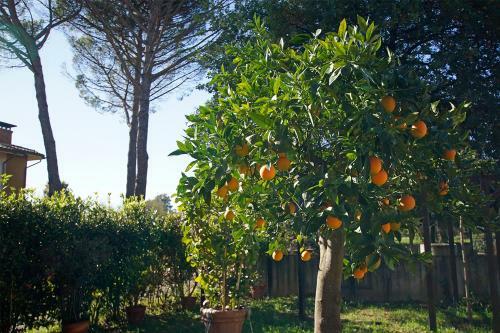 Bed & Breakfast Bel Giorgio