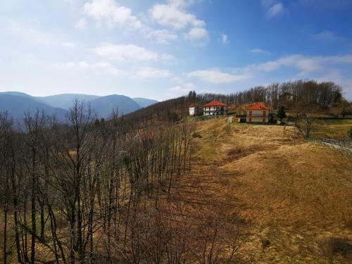 Apartamento Il Cottage
