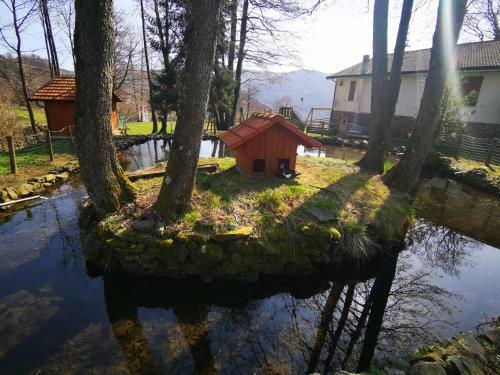 Apartamento Il Cottage
