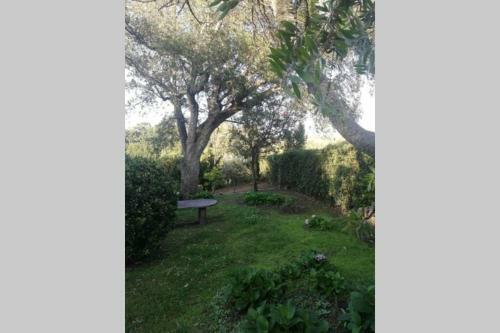 Villa Con Ampi Spazi Verdi E Posto Barca Privato
