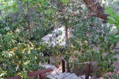 Villa Con Ampi Spazi Verdi E Posto Barca Privato