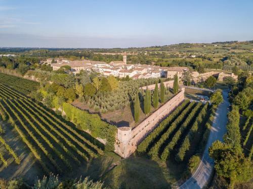 Apartamento Appartamento Sulle Colline Del Sangiovese
