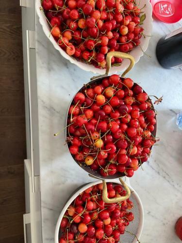 Bed & Breakfast Ort Holiday's Time