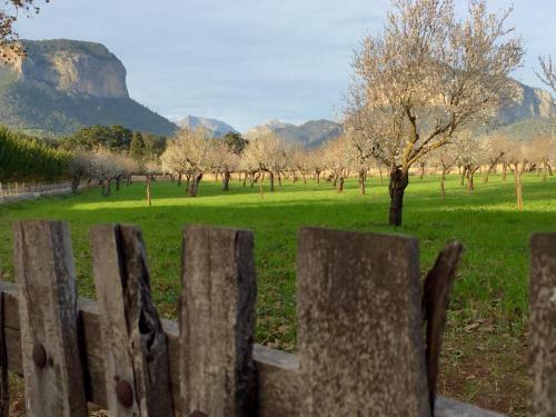 Petit Hotel Alaro