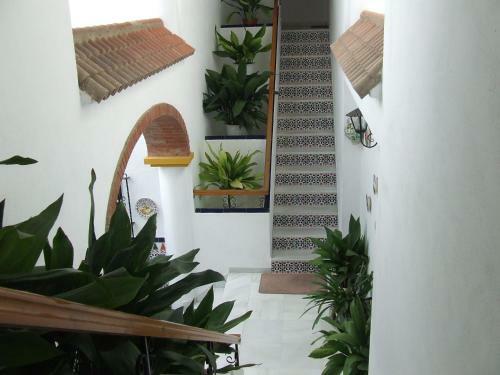 Apartamentos Los Arcos