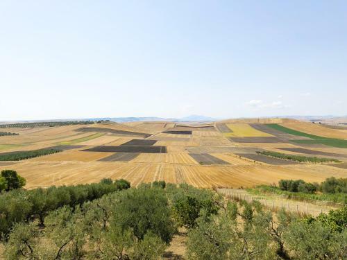 Apartamento C� Dei Sauri - Taste Of Puglia