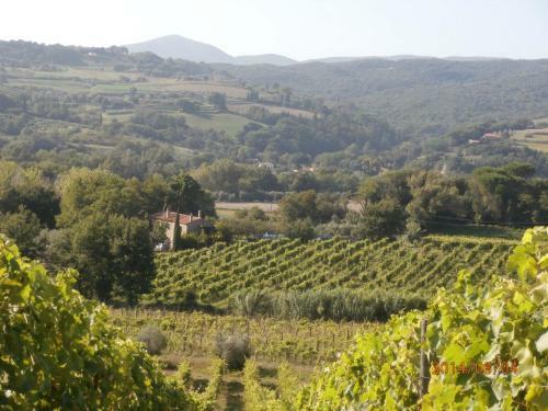 Apartamento Grande Sole