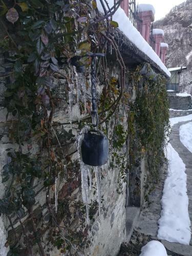 Shanty